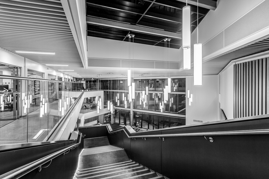 University of Liverpool International College | LIANE RYAN