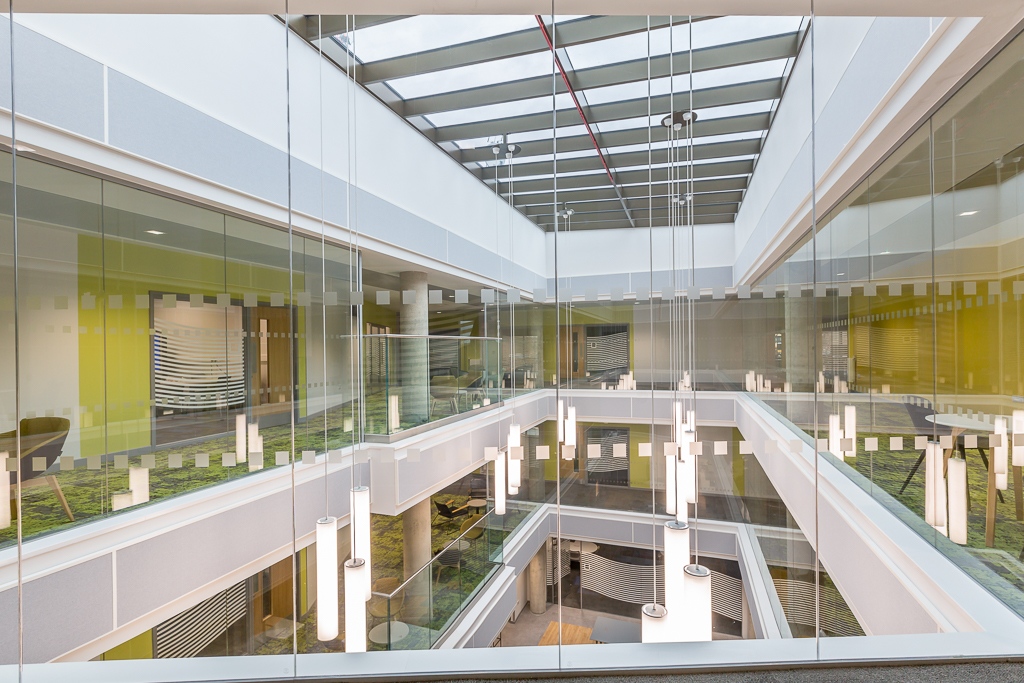 University of Liverpool International College | LIANE RYAN